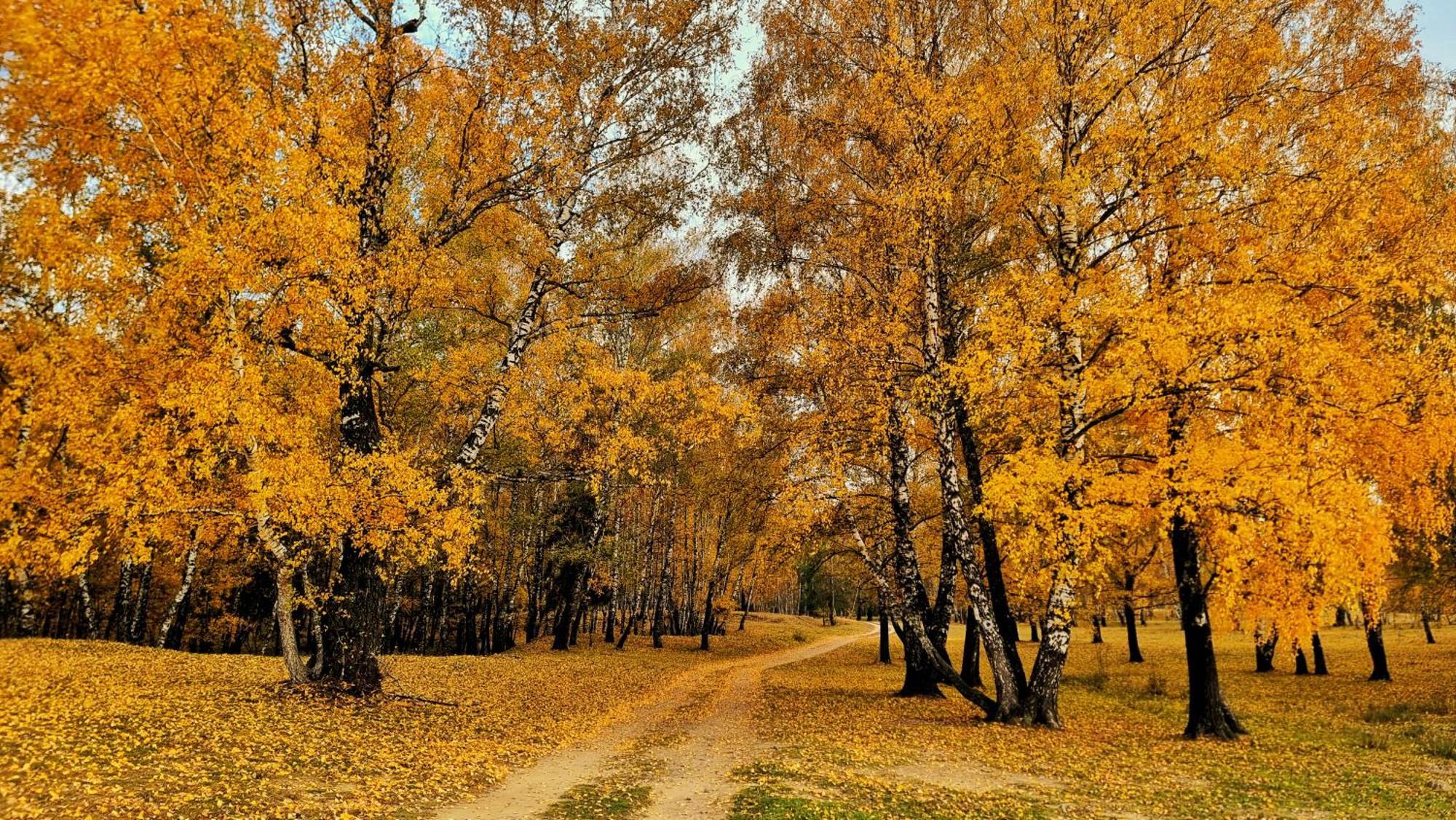 Casuta Din Povesti Villa Reci Buitenkant foto